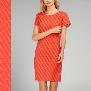 VINCE CAMUTO Sheath Dress Diagonal Clipped-Scallop Textured Short Sleeve